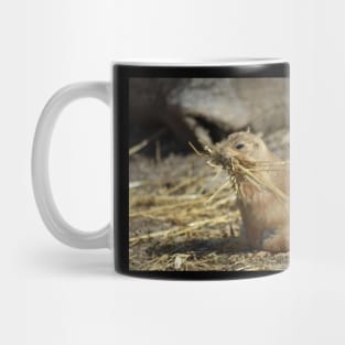 Prairie Dog Mug